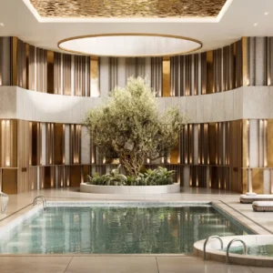 Wellness Deluxe Plus