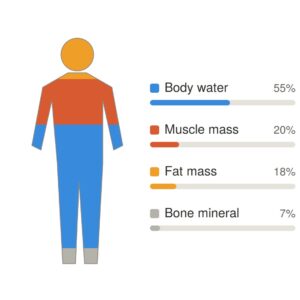 Body Composition Analysis